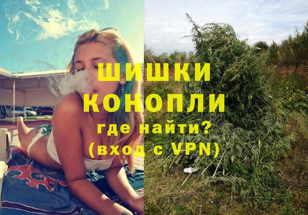 стафф Лабытнанги