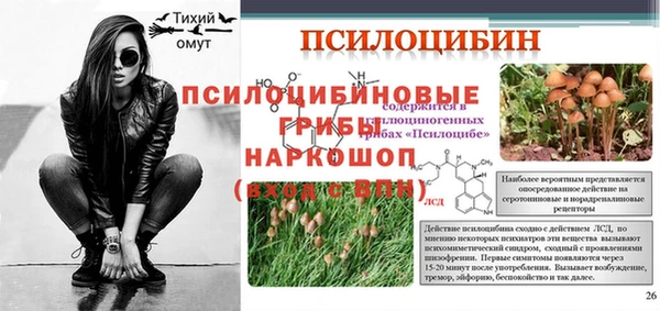 соль курить ск Лагань
