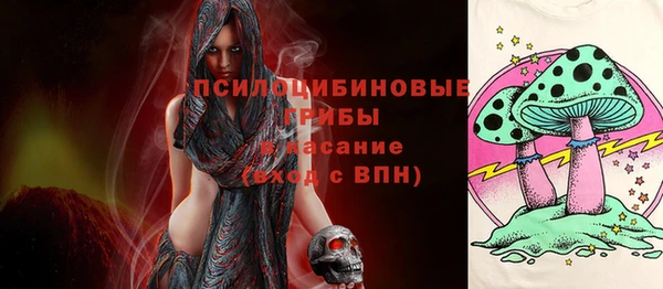 стафф Лабытнанги